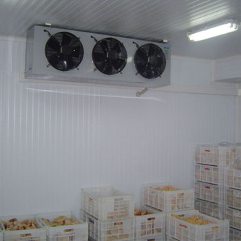 elparologtato_024