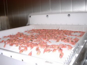 Seafood_02_resize